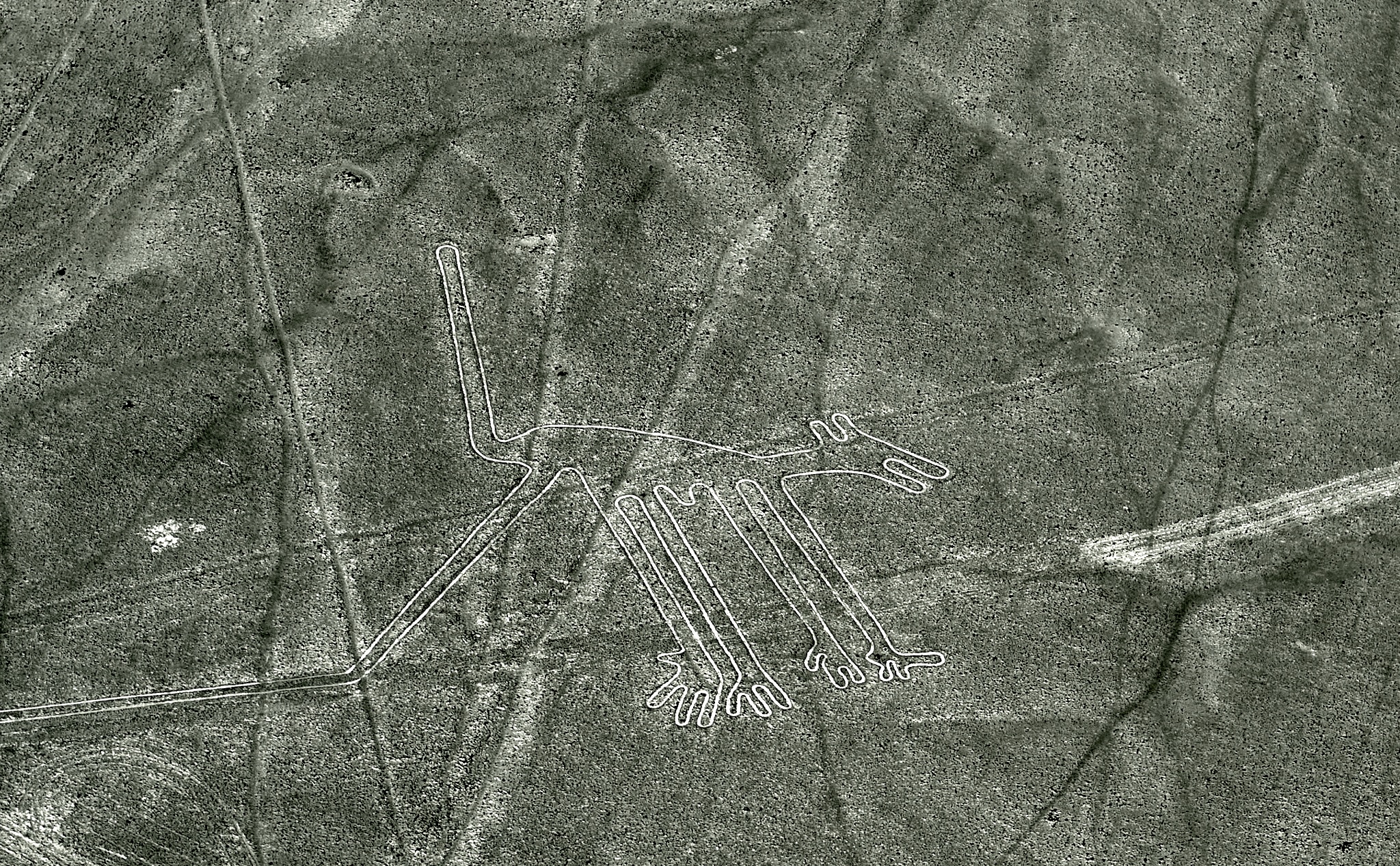 20200305 297 [페루] 나스카 라인